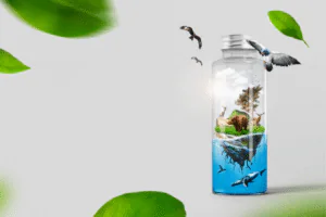 dia mundial del medioambiente 2025