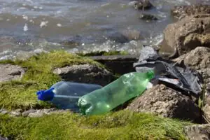 cómo afectan las bolsas al medio ambiente